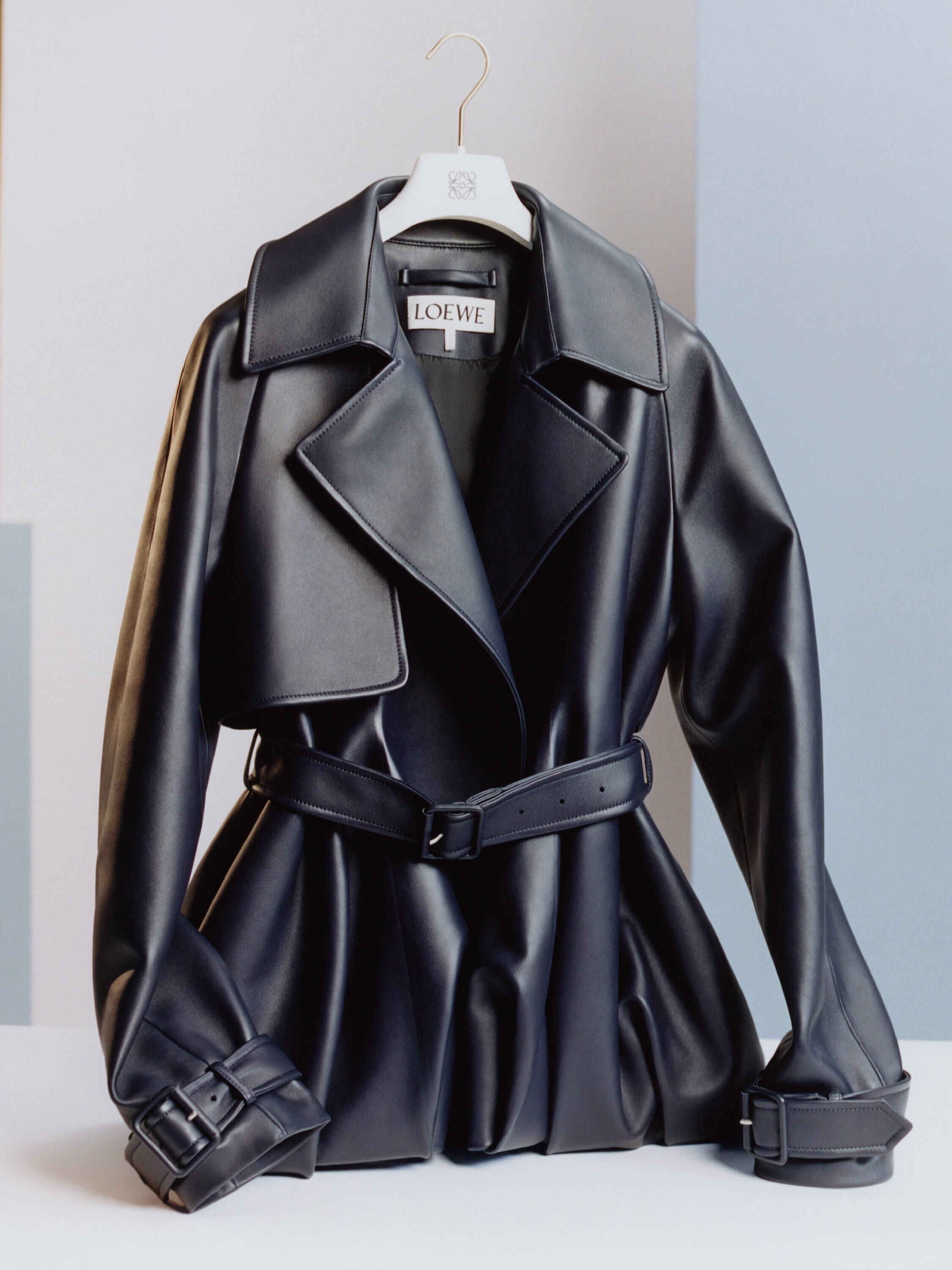 LOEWE_FW25_MAIN_CAMPAIGN_B_ROL